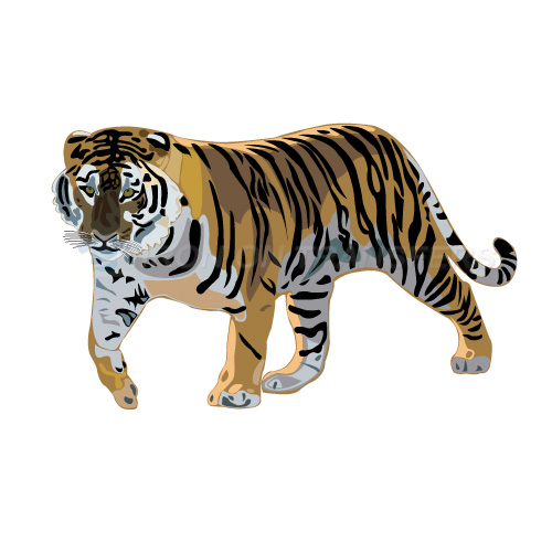 Tiger Iron-on Stickers (Heat Transfers)NO.8892
